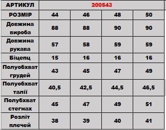 Сукня 200543 200543 фото