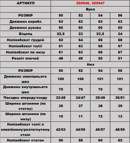Костюм 200946 200946 фото